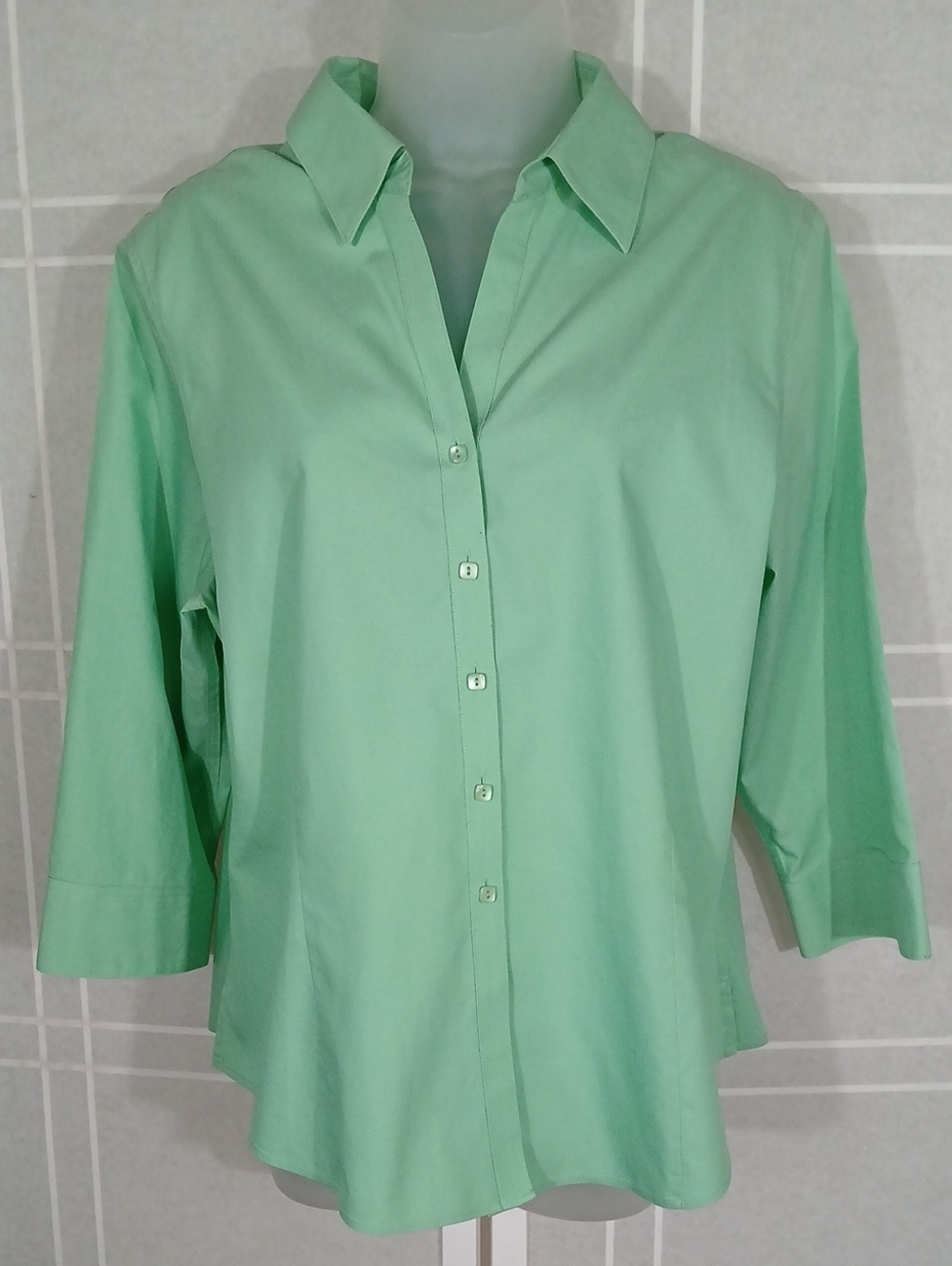 Foxcroft No-iron Mint Buttondown L